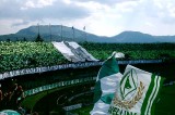 Calcio – Avellino-Vicenza, da domani la prevendita