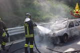 Partono dalla Svizzera per le vacanze e a Baiano l’auto prende fuoco