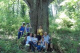 Lacedonia – “Amici del Cerro del Tesoro” per difendere la plurisecolare quercia irpina