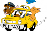 Avellino – Arriva anche in città Pet Taxi