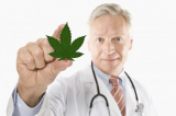 In Campania è legale la cannabis per uso terapeutico, favorevole o contrario?