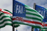 Mobilitazione FAI CISL Campania su: lavoro, pensioni, occupazione, salari, sfruttamento