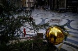 Napoli- Rubato (di nuovo) l’albero di Galleria Umberto I