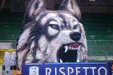 Avellino Calcio – Ufficiale: i lupi giocheranno nel Girone G della serie D