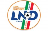 Avellino Calcio – Gironi Serie D, segui la diretta a partire dalle 14