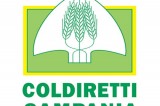Coldiretti: A Pozzuoli rinascono 56 ettari abbandonati