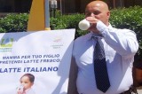 Sardegna – Nuova protesta per il prezzo del latte