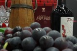 Avellino – “IWF, Irpinia Wine Festival”: sottoscritta la dichiarazione di intenti tra la Fondazione Sistema Irpinia, Confindustria Avellino, Camera di Commercio di Avellino e Gourmet’s International di Merano