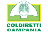 Giovani: Coldiretti Salerno, Zoccoli Nuovo Delegato Provinciale
