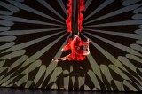 Avellino – Al Teatro “Carlo Gesualdo” torna la magia dei Momix