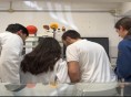 Benevento – Il Liceo Galilei è tra le 8 scuole ITALIANE FINALISTE della competizione MAD FOR SCIENCE 2024