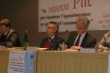 Nocciole – Il ministro Catania: “ Attivare tavoli con il ministero dell’Industria”