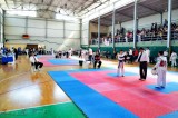Taekwondo – Ad Avellino il Campionato interregionale combattimenti Cadetti A e B Taekwondo – Ad Avellino il Campionato interregionale combattimenti Cadetti A e B