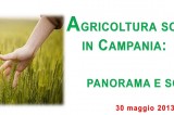 Agricoltura sociale in Campania: panorama e scenari