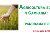 Agricoltura sociale in Campania: panorama e scenari Agricoltura sociale in Campania: panorama e scenari