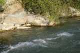 Nuovo allarme ambientale per il fiume Sele