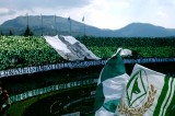 Avellino Calcio – I Lupi pensano a Di Carmine per la prossima stagione