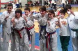 Taekwondo (Av). Domani esame regionale cinture nere al Palacountry