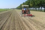 Coldiretti: in Campania possibili 25mila posti da agricoltura
