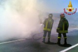Baiano – Mercedes in fiamme lungo l’autostrada Baiano – Mercedes in fiamme lungo l’autostrada