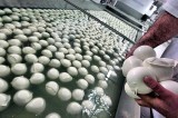 Estorsione – Imprenditore irpino denuncia un militare Estorsione – Imprenditore irpino denuncia un militare