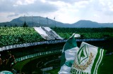 Avellino Calcio- Terracciano: ” Nessuna scusa, si va avanti “ Avellino Calcio- Terracciano: ” Nessuna scusa, si va avanti “