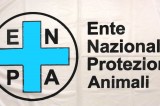 ENPA – Animali ammazzati, indagini a San Michele di Serino ENPA – Animali ammazzati, indagini a San Michele di Serino