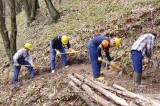 Due forestali tentano il suicidio, Fai Cisl: “chiediamo alle istituzioni di non lasciarci soli”