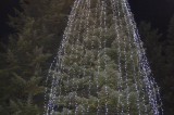 Caposele – L’Albero di Natale: 33 metri di speranza dal secondo albero più alto d’Europa e d’Italia