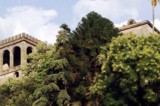 Ex villa del boss Graziano diventerà un maglificio. Arrivano 500mila euro Ex villa del boss Graziano diventerà un maglificio. Arrivano 500mila euro