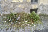 Cumulo rifiuti nel centro storico di Avellino, Silvestri: “la pulizia? E’ ad personam”