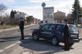 Furto Frigento – I carabinieri arrestano il ladro