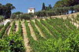 Sant’Angelo all’Esca – Al via la terza edizione del concorso eno-gastronomico alla Tenuta del Cavalier Pepe Sant’Angelo all’Esca – Al via la terza edizione del concorso eno-gastronomico alla Tenuta del Cavalier Pepe