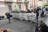 Amianti morti viventi “Bilancio 2014″ Amianti morti viventi “Bilancio 2014″