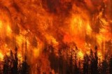 Incendio nel bosco di Solofra, l’intervento della Comunità Montana