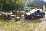 Parco dei Monti Picentini – Sequestrati 10 quintali di legna