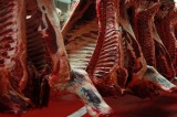 Strutture di macellazione delle carni bovine in campania – Ok dalla Commissione Europea