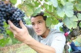 Mercogliano – Presentazione del corso di formazione professionale per sommelier Mercogliano – Presentazione del corso di formazione professionale per sommelier