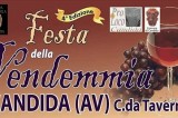 Candida – Al via la IV festa della Vendemmia