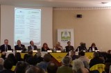 Masiello – “Applicheremo un’aliquota minima sui terreni agricoli” Masiello – “Applicheremo un’aliquota minima sui terreni agricoli”