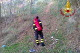 Ariano – Cade nel bosco. Recuperato dai caschi rossi Ariano – Cade nel bosco. Recuperato dai caschi rossi