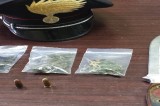 Baiano – Droga e armi in casa, fermato 50enne Baiano – Droga e armi in casa, fermato 50enne