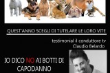 Il 31 dicembre ed il 1 gennaio: Incubo per gli animali Il 31 dicembre ed il 1 gennaio: Incubo per gli animali