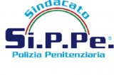 Sippe – L’inefficienza dello Stato scatena il polverone Sippe – L’inefficienza dello Stato scatena il polverone