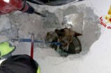 Pratola Serra – Salvato un cane dai Vigili del Fuoco Pratola Serra – Salvato un cane dai Vigili del Fuoco