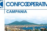 Incendio Cleprin, Confcooperative: “Chi agisce legalmente non sia solo” Incendio Cleprin, Confcooperative: “Chi agisce legalmente non sia solo”