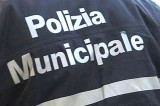 Avellino – Cinque cuccioli salvati dalla Polizia Municipale