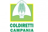 Coldiretti Campania, quasi 62 Mln per scorrere graduatoria