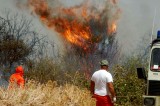 Lapio – Incendio in località Toppa, in fiamme vaste aree di terreni