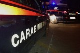Cane avvelenato – Carabinieri denunciano donna a Pratola